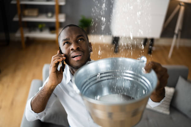 Best Basement water damage restoration  in Montgomery, TX