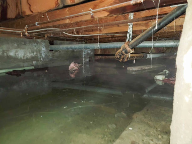 Best Emergency water damage restoration  in Montgomery, TX