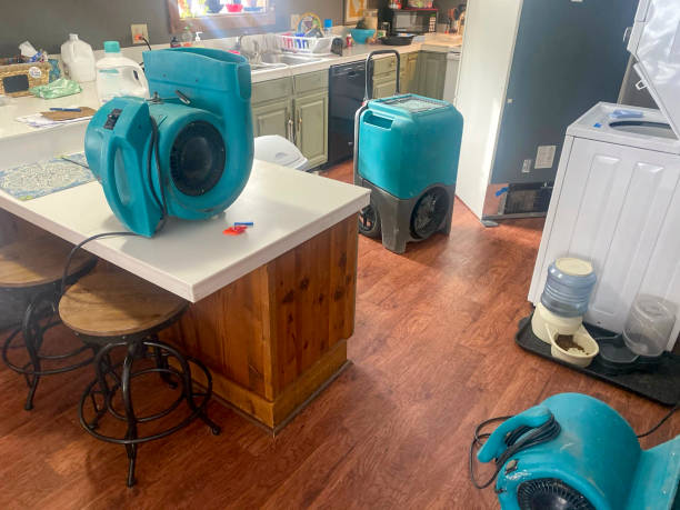 Best Water damage restoration services  in Montgomery, TX