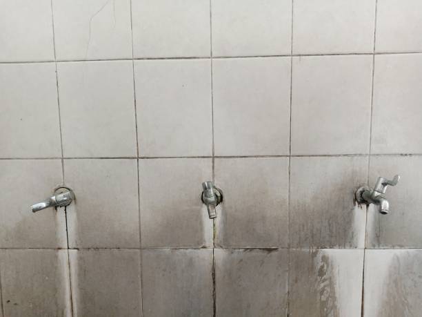Best Local water damage restoration  in Montgomery, TX
