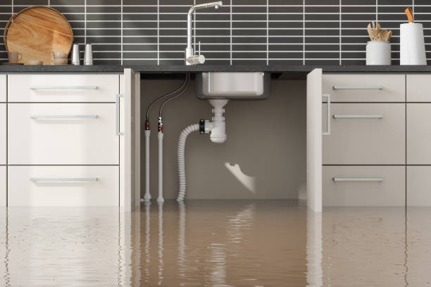 Best Residential water damage restoration  in Montgomery, TX