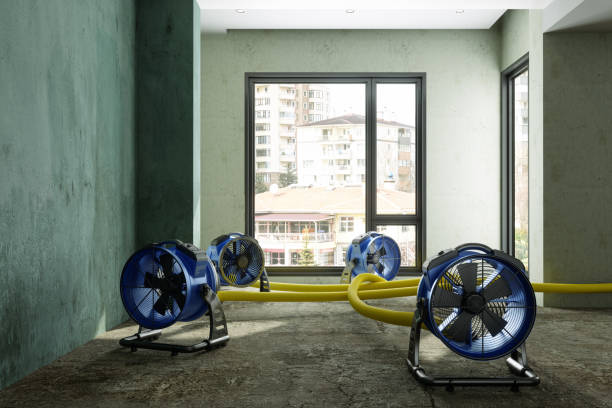 Best Flood restoration services  in Montgomery, TX