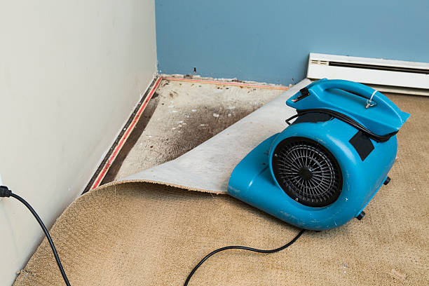 Best Water damage restoration near me  in Montgomery, TX
